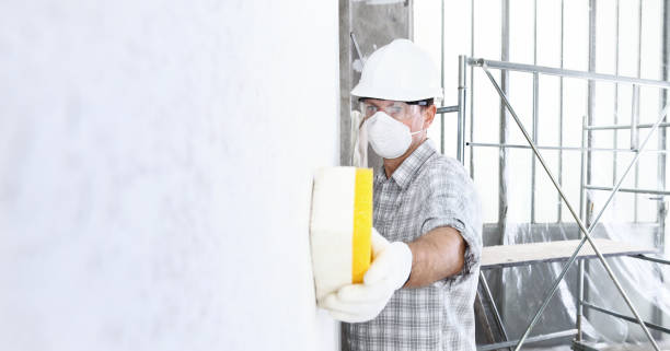 Mold Remediation for Rental Properties in Biola, CA